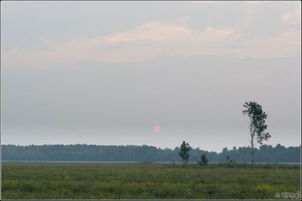 Călătorie spre lacul cuvei (regiunea Novosibirsk, iulie 2012) - Rusia - club de independență