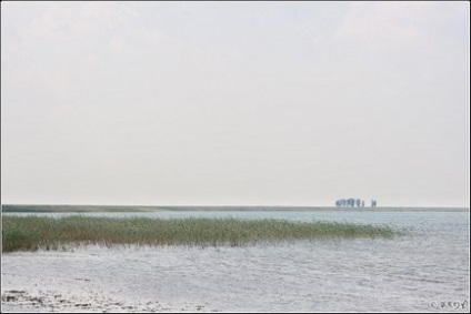 Подорож на озеро чани (Новосибірська область, липень 2012) - росія - клуб самостійних