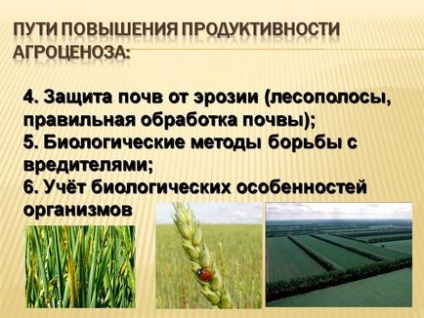 Modalități de creștere a productivității prezentării agroenozelor 13907-16