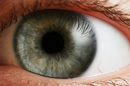 Iris al ochiului ce este, boli, funcții, structură