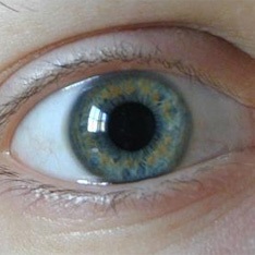 Iris funcție ochi