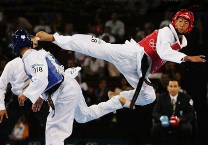 Dezvoltarea taekwondo ca sport olimpic (roata Petr Ferris) - produse de arte martiale
