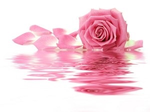 Rețete de la petale de trandafir, fericire feminină