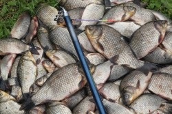 Риболовля та відпочинок на озері чани