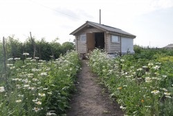 Риболовля та відпочинок на озері чани