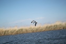 Pescuiți și odihniți-vă pe vatra lacurilor