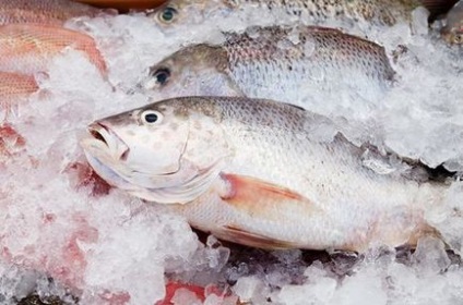 Риба при панкреатиті рецепти страв з нежирних сортів, протипоказання до вживання