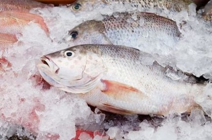 Hal pancreatitis receptek alacsony zsírtartalmú fajták, ellenjavallata (pancreatitis) Fish pancreatitis receptek alacsony zsírtartalmú fajták, ellenjavallata a