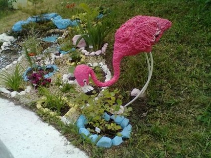 Flamingo hab