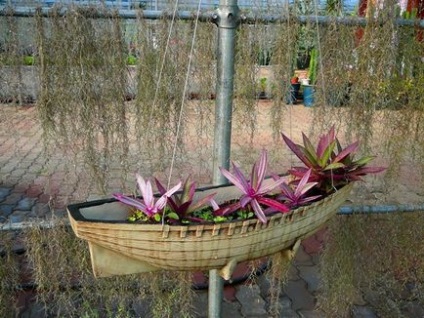 Aloe kert, Constantine Vihljaev és Utah vannak Arbat