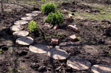 Садові доріжки своїми руками - сайт про рослини