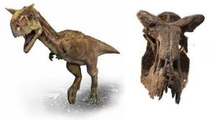 Cele mai bizare dinozauri