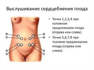 Серцебиття плоду - норма по тижнях, як визначити хлопчик або дівчинка