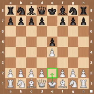 шаховий король