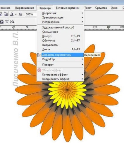 Școala de Design de Calculatoare, lecții coreldraw