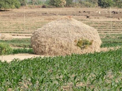 Cât de mult fân în carul de fân este casa ta din sat