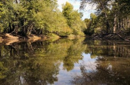 Puff lac-jeleu în vasta Rusiei, minunile naturii