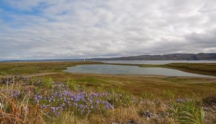 Puff lac-jeleu în vasta Rusiei, minunile naturii