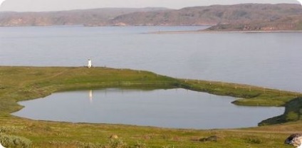 Puff lac-jeleu în vasta Rusiei, minunile naturii