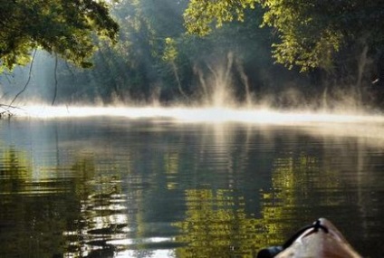 Листкове озеро-желе на просторах росії, чудеса природи