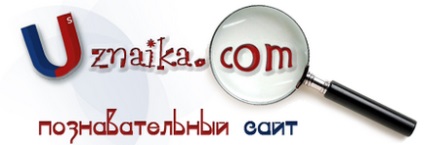 Служиві собаки, пізнавальний сайт узнайка кому - сайт і цікавий і корисний