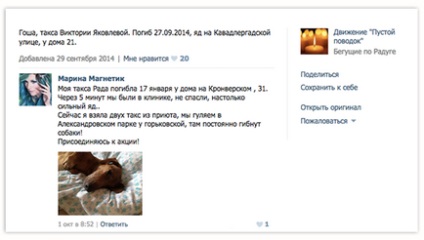 Moartea câinelui din Sankt-Petersburg leagă animalele domestice