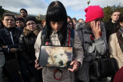Собача смерть як в Петербурзі труять домашніх тварин