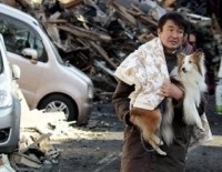 Câini care au supraviețuit tsunami-ului în Japonia