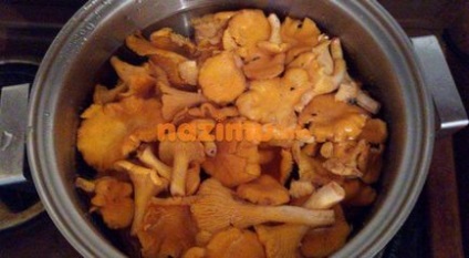 Chanterelles sărate - pregătire pentru iarnă prin prescripție de fotografie