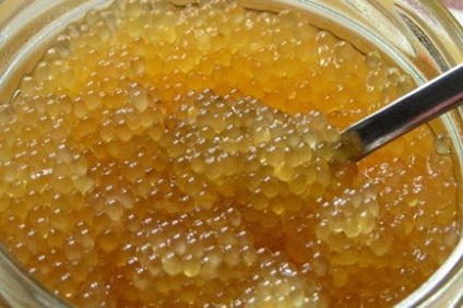 Caviarul Solim independent, bucătari - bucătari din Kazahstan
