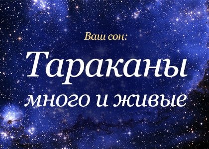 Сонник таргани багато живі, до чого сняться багато тараковив живих бачити уві сні