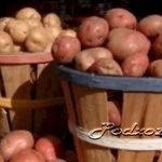 Сортування насіння картоплі, підсобне господарство