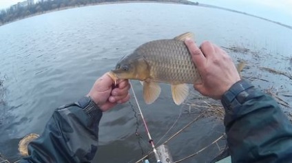 Соска своїми руками з пластикової кришки фото відео