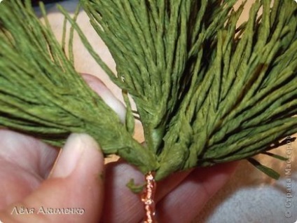 Pine krepp papír (get ez a szépség) Pine krepp papír