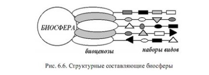 складові біосфери