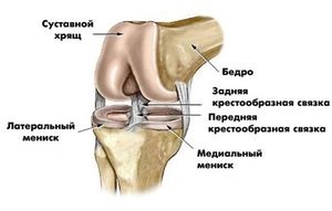 Спортивна травма коліна
