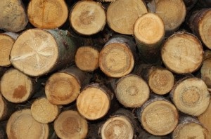 Стандартна, рівноважна і природна вологість деревини