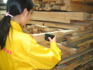 Стандартна, рівноважна і природна вологість деревини