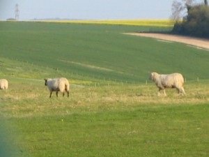 Stonehenge, hogyan lehet benne, és nem kap fogott