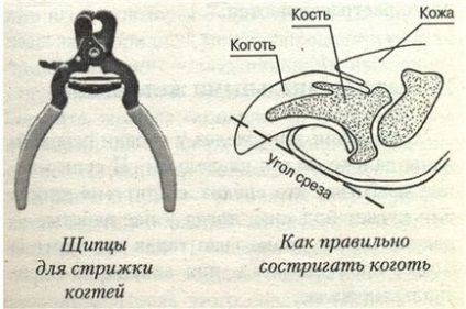 Косене нокти