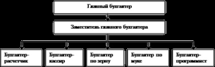 Structura și scopul întreprinderii contabilitate - economie