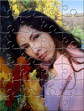 Sublimarea de imprimare pe puzzle - enciclopedie -