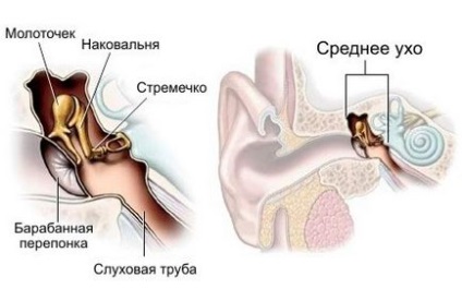 Сурдолог записатися на прийом