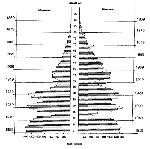 Structura de vârstă de relaționare cu regimul de reproducere a populației