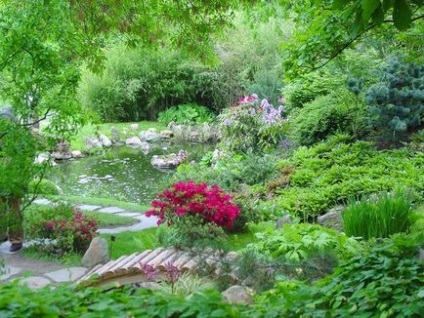 Căldură, lumină și apă - baza de viață a plantelor, cabana, casa, gradina, gradina, cabana, casa