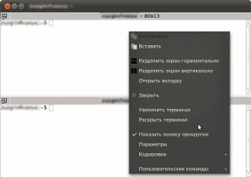 Terminator - terminale convenționale multi-terminale linux