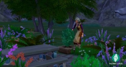 The sims 4 «в похід! »Як відкрити секретний ділянку і знайти відлюдника