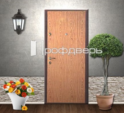 Товщина дверного полотна, якої товщини має бути вхідні металеві двері