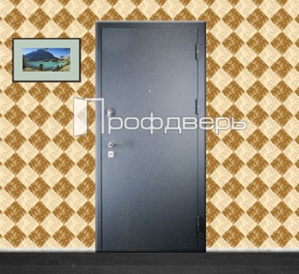 Товщина дверного полотна, якої товщини має бути вхідні металеві двері