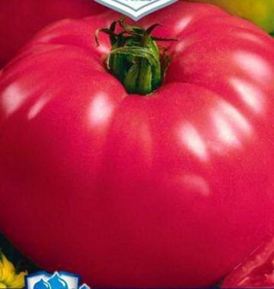 Tomato - zmeură descriere a soiului, randament și caracteristici